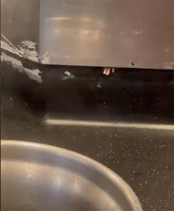 กินชาบูอยู่ เจอเพื่อนใต้สายพาน