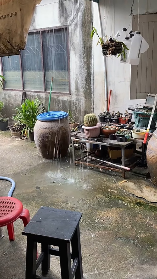 เพื่อนบ้านเทน้ำทิ้งจากชั้น 2