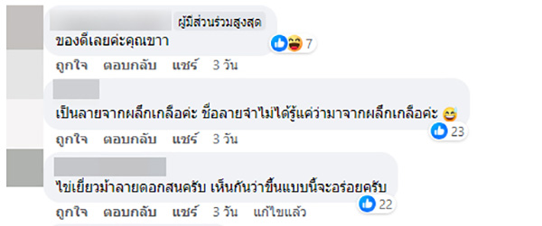 คอมเมนต์