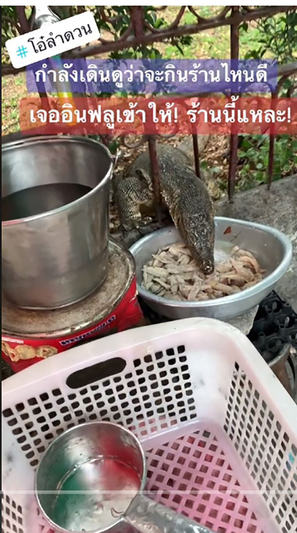 มิติใหม่ของการแนะนำของอร่อย น้อนตวัดลิ้นชิมลิ้มรสให้แล้ว  