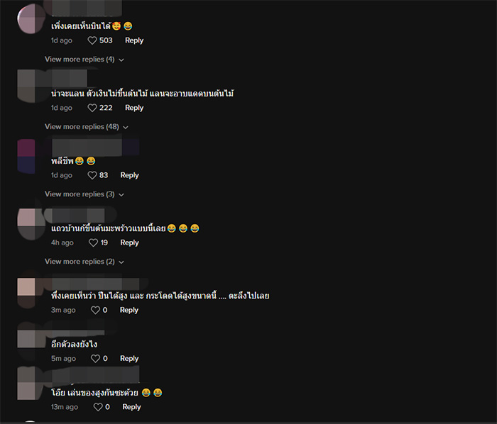 คอมเมนต์