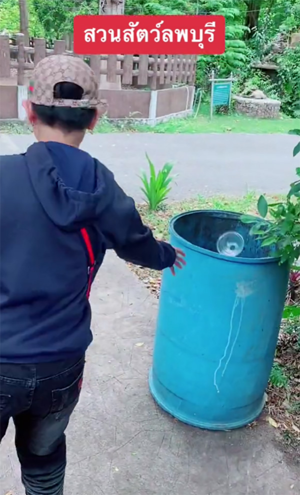 เจ้าลิงจ๋อแสนรู้หยิบขยะหน้ากรง ส่งให้นักท่องเที่ยวฝากทิ้งถังขยะด้วย