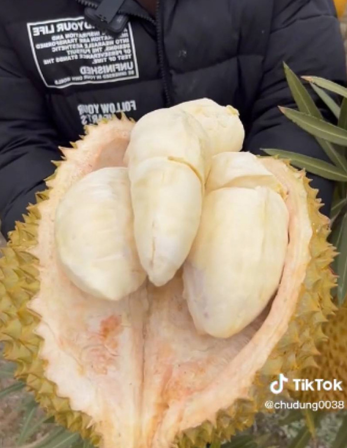 แม่ค้าจีนทำคลิปรีวิวทุเรียนสด จากต้น 