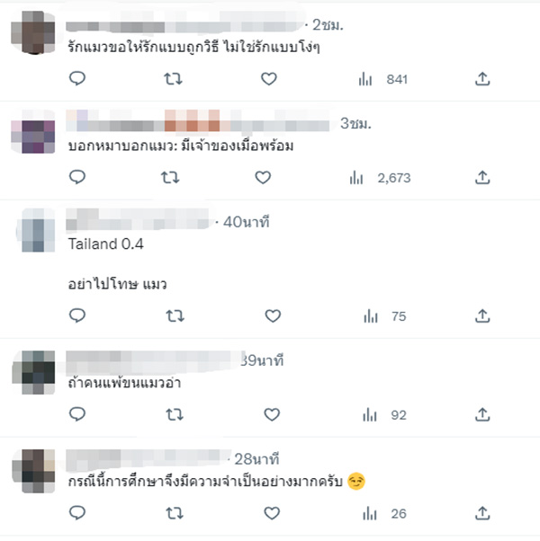 คอมเมนต์