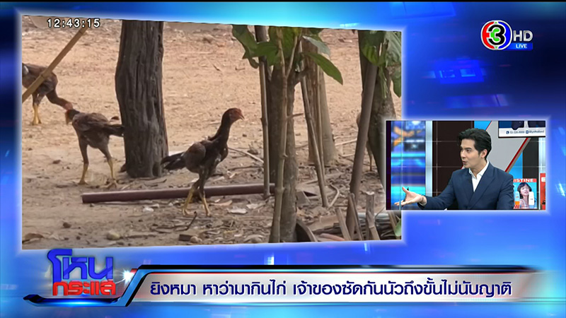 เจ้าของหมา VS ญาติ ซัดนัว อ้างหมากัดไก่ 50 ตัว