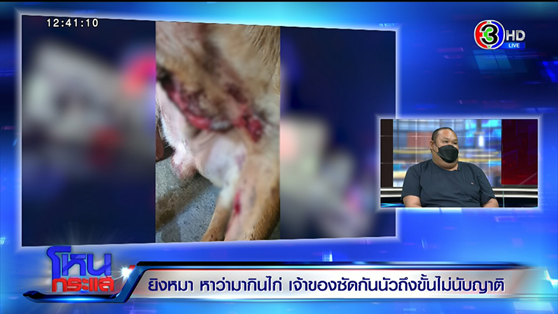 เจ้าของหมา VS ญาติ ซัดนัว อ้างหมากัดไก่ 50 ตัว