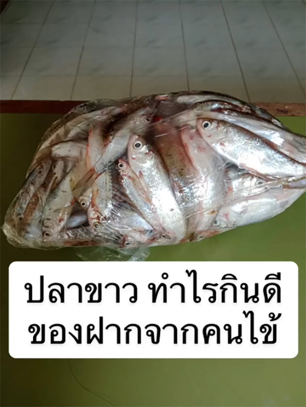 สาวเล่าประสบการณ์เปิดคลินิกในบ้าน กับสารพัดของฝากจากคนไข้