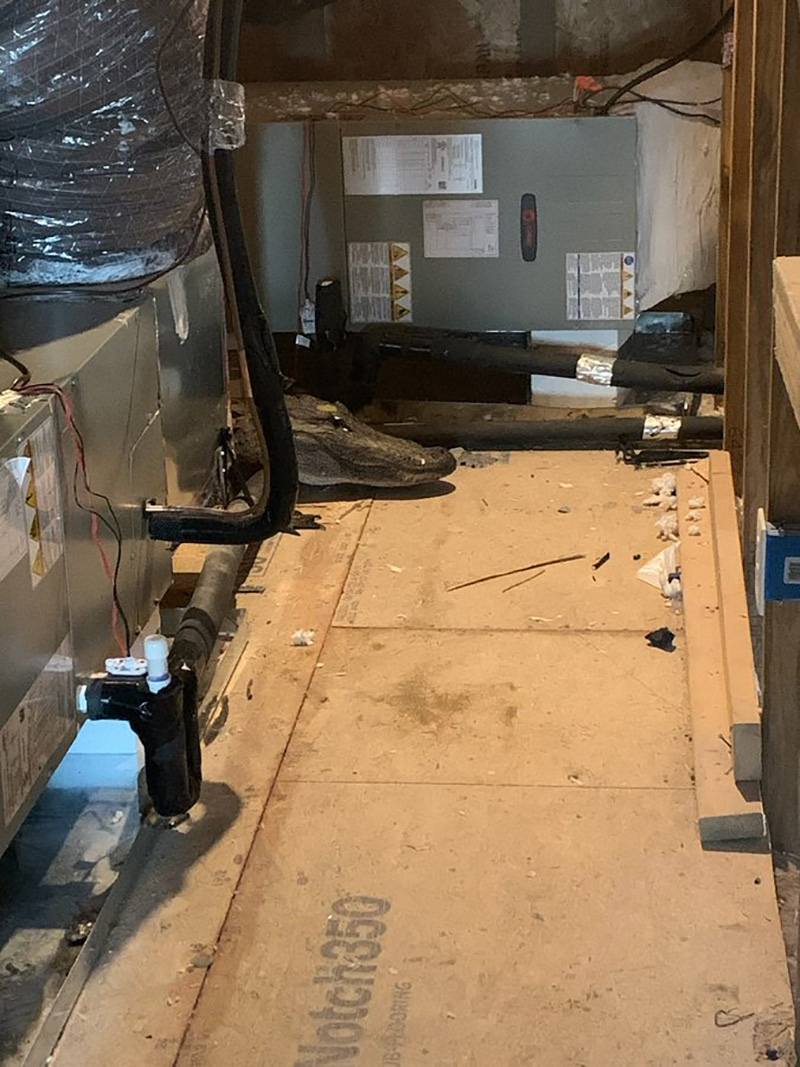 จระเข้ยักษ์ซ่อนใต้หลังคา คิดว่าของปลอม จนรู้ถึงพลังงานบางสิ่ง 