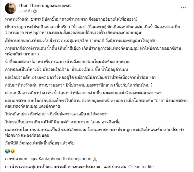 ปรากฏการณ์ปลาตายน้ำแดงเกลื่อนหาดนับล้านตัว