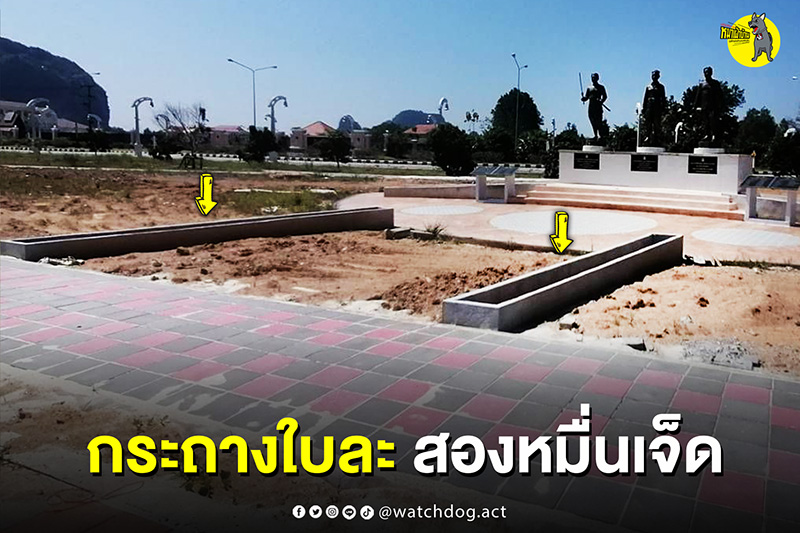 แฉอีก ต้นรวงผึ้ง ต้นละ 2 หมื่น ล่าสุดยืนต้นตาย