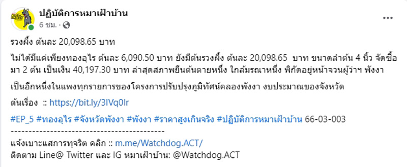แฉอีก ต้นรวงผึ้ง ต้นละ 2 หมื่น ล่าสุดยืนต้นตาย