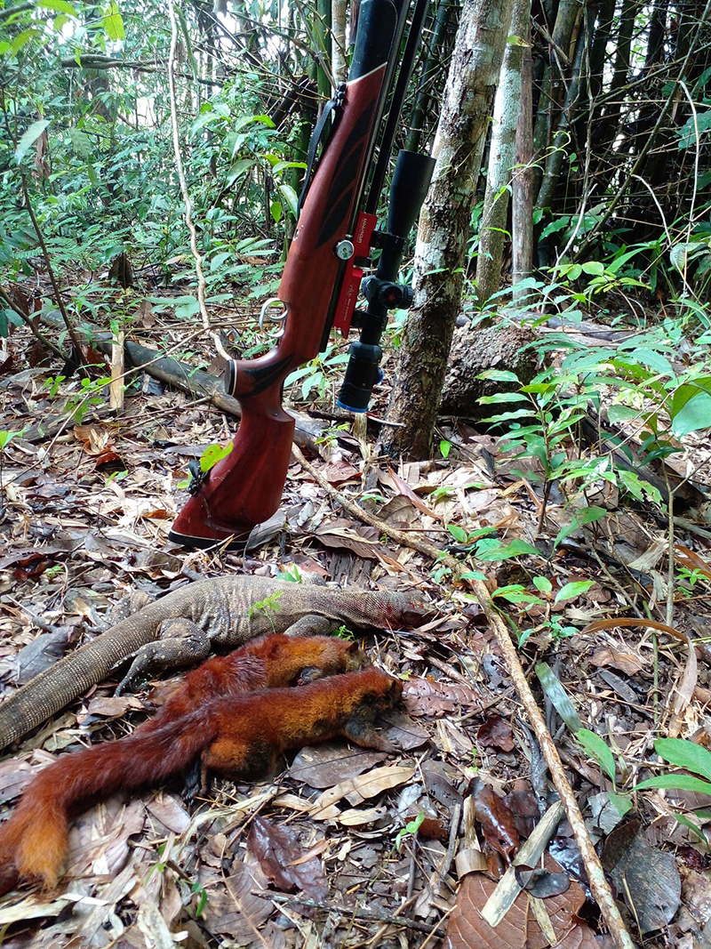 ยิงสัตว์ป่าคุ้มครอง 