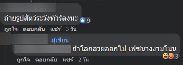 คอมเมนต์