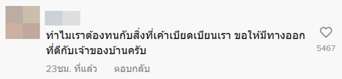 คอมเมนต์