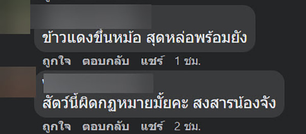 คอมเมนต์