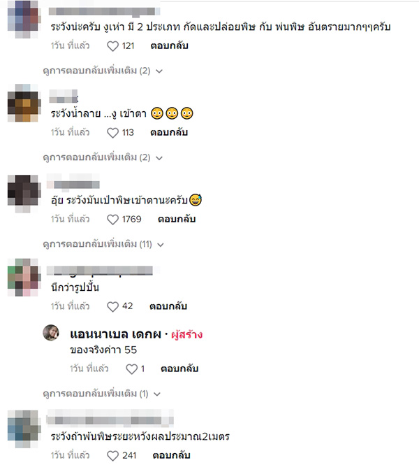 คอมเมนต์