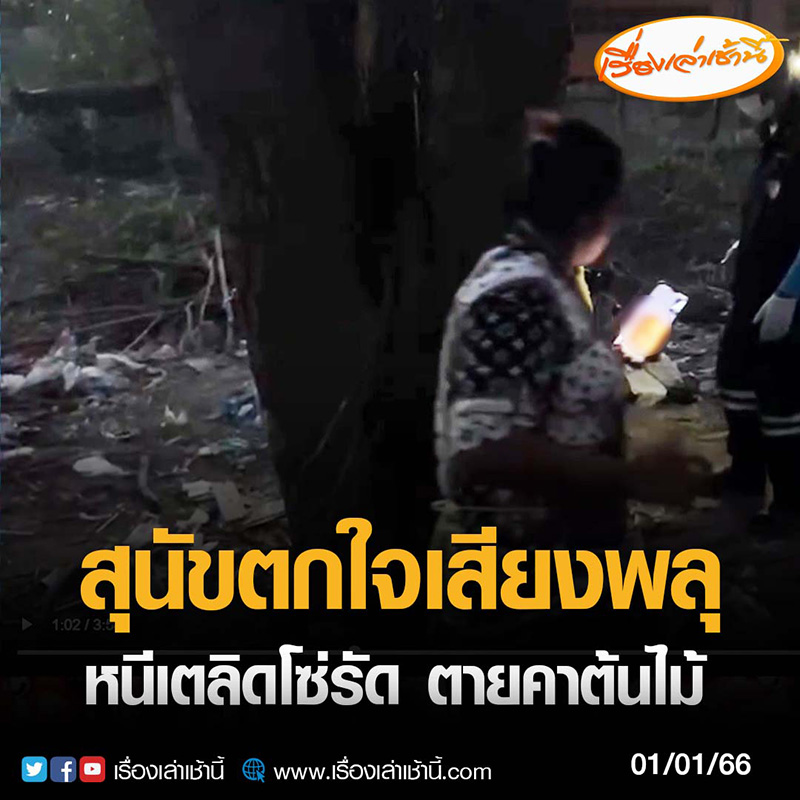 สุนัขตกใจเสียงพลุ ประทัดคืนเคานต์ดาวน์ปีใหม่ 