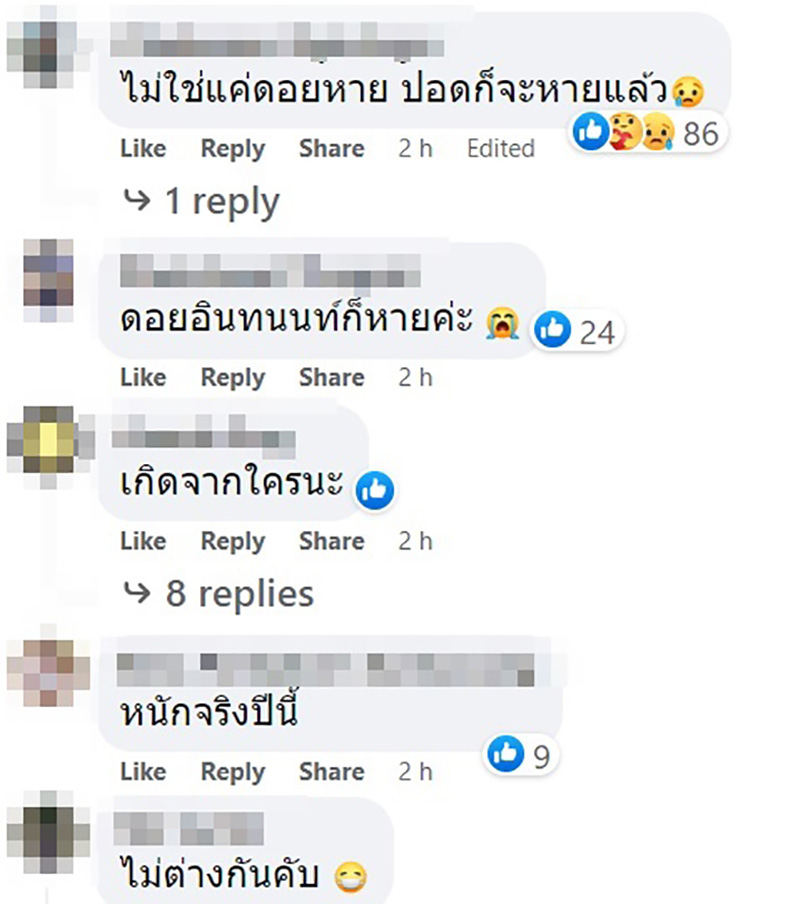 คอมเมนต์