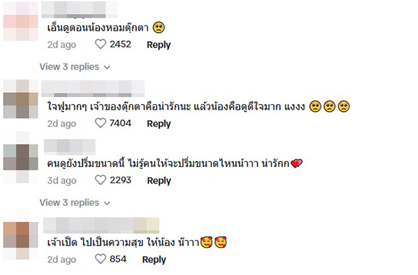 คอมเมนต์