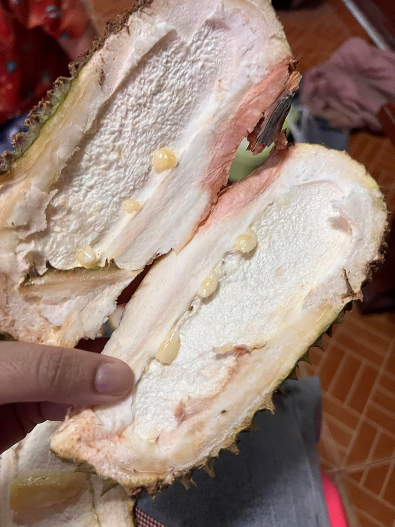 ซื้อทุเรียนพลูใหญ่ จากตลาดกลับบ้าน เพียงแค่เปิดเข้ามาเป็นอันผงะ