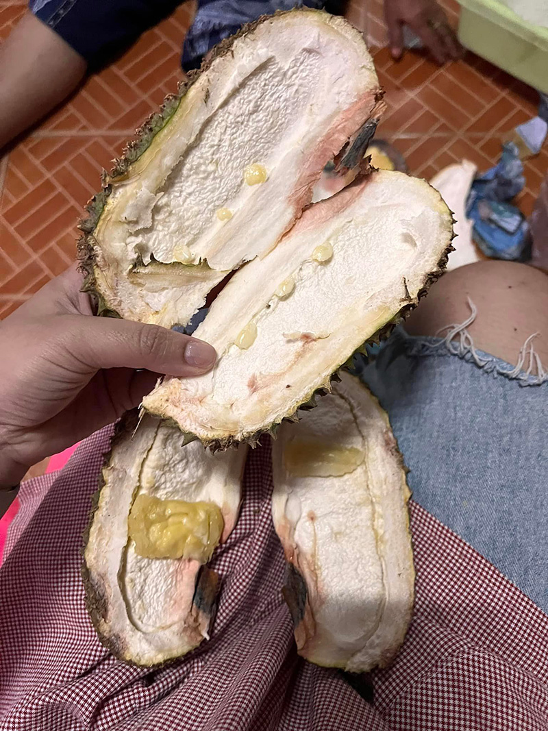 ซื้อทุเรียนพลูใหญ่ จากตลาดกลับบ้าน เพียงแค่เปิดเข้ามาเป็นอันผงะ