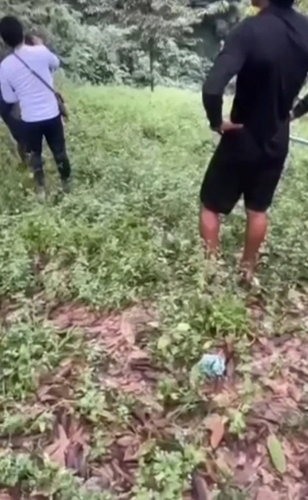 คลิปสอยทุเรียนจากต้น ตกใส่หัวชาวสวน