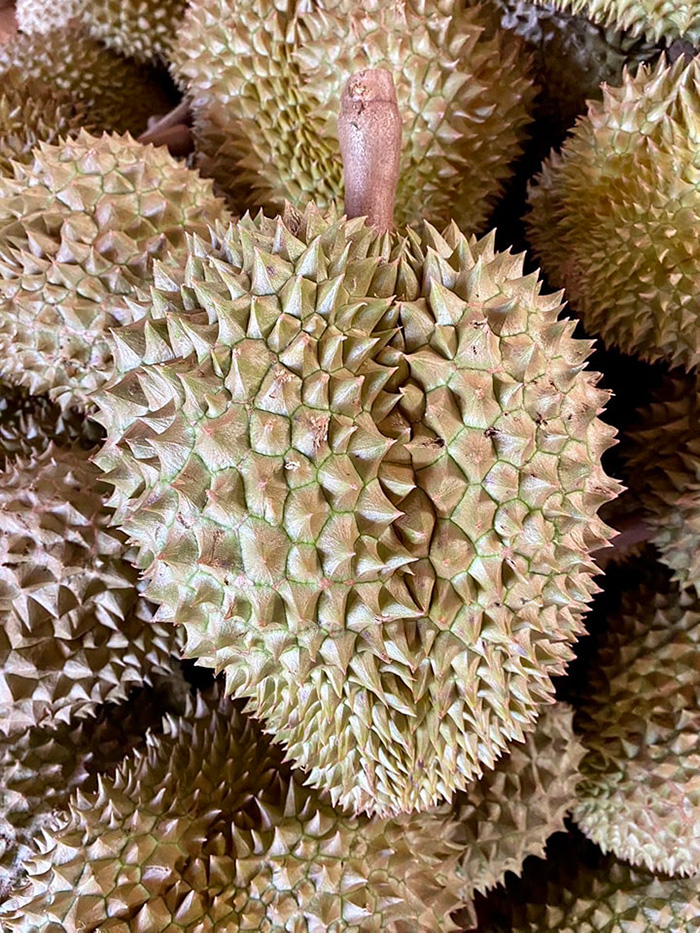 โวย ศุลกากรจับทุเรียนเถื่อนกว่า 8 ตัน ที่แท้โอละพ่อ เจ้าของไปทวงพบถูกขายเกลี้ยง