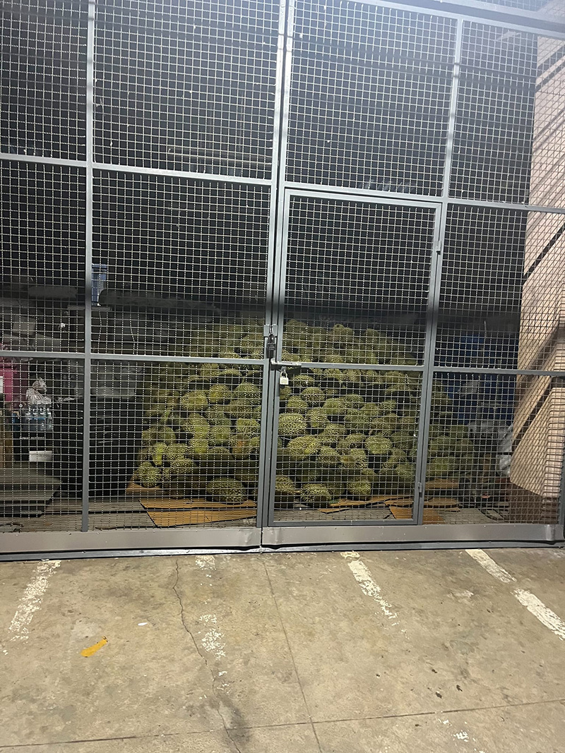 โวย ศุลกากรจับทุเรียนเถื่อนกว่า 8 ตัน ที่แท้โอละพ่อ เจ้าของไปทวงพบถูกขายเกลี้ยง