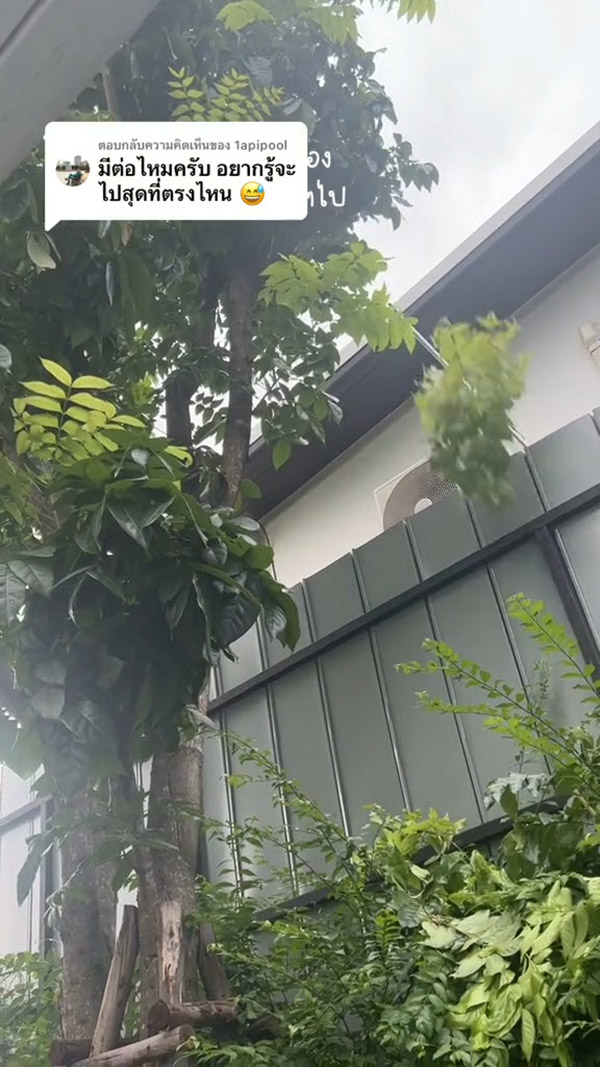 เพื่อนบ้านสุมขยะ