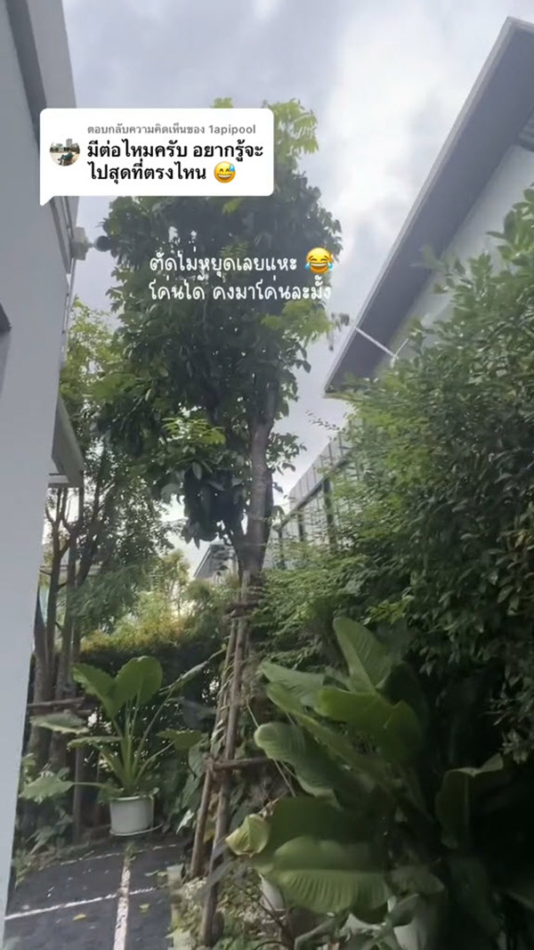 เพื่อนบ้านสุมขยะ