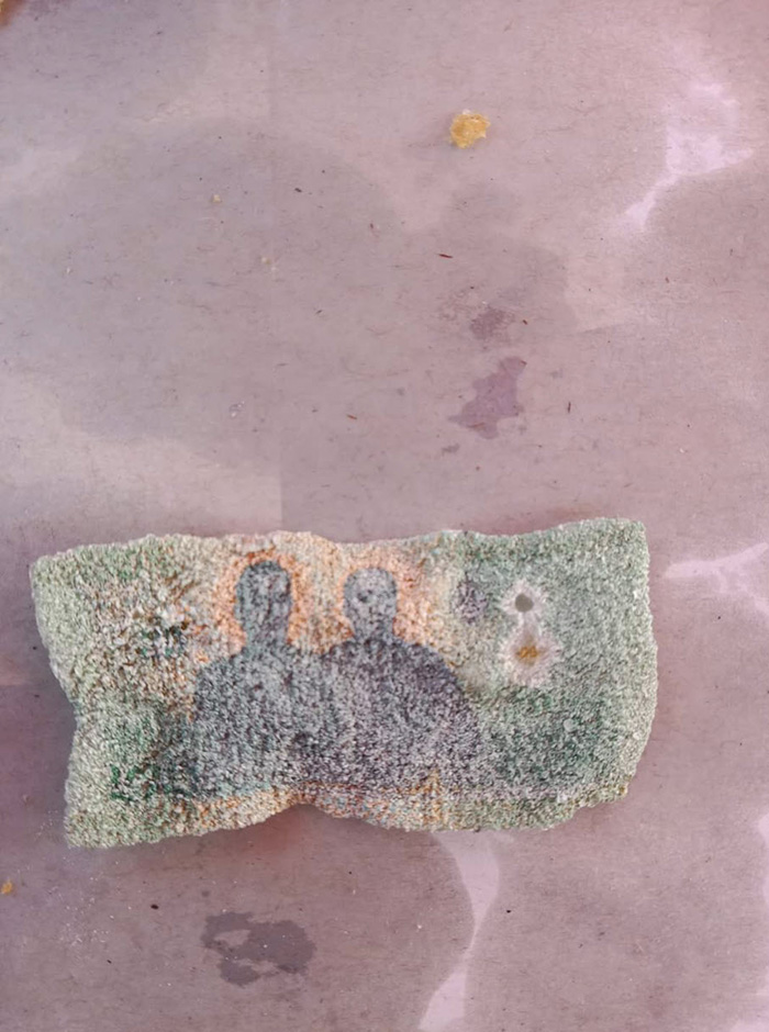 แบงก์ 20 หล่นใส่กระทะทอด