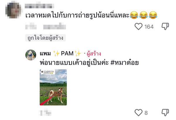 คอมเมนต์