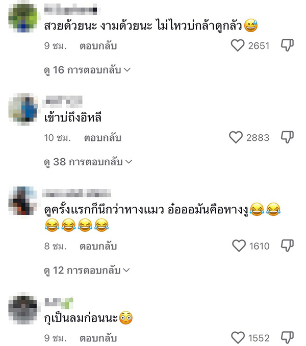 คอมเมนต์