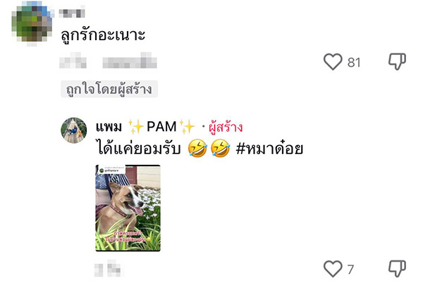 คอมเมนต์