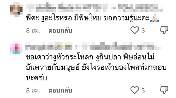 คอมเมนต์