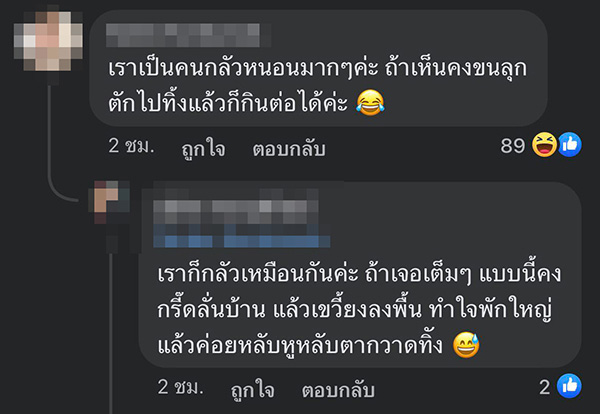 คอมเมนต์