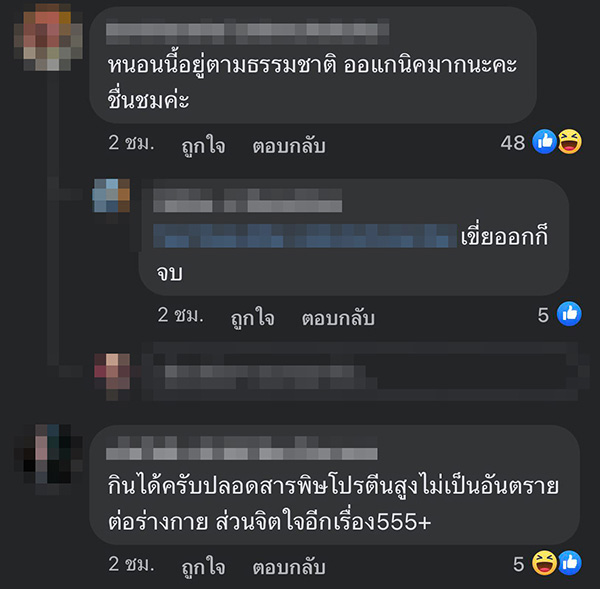 คอมเมนต์