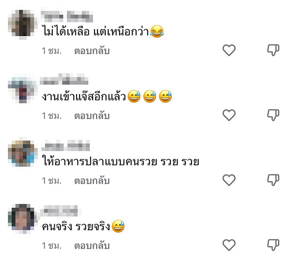 คอมเมนต์