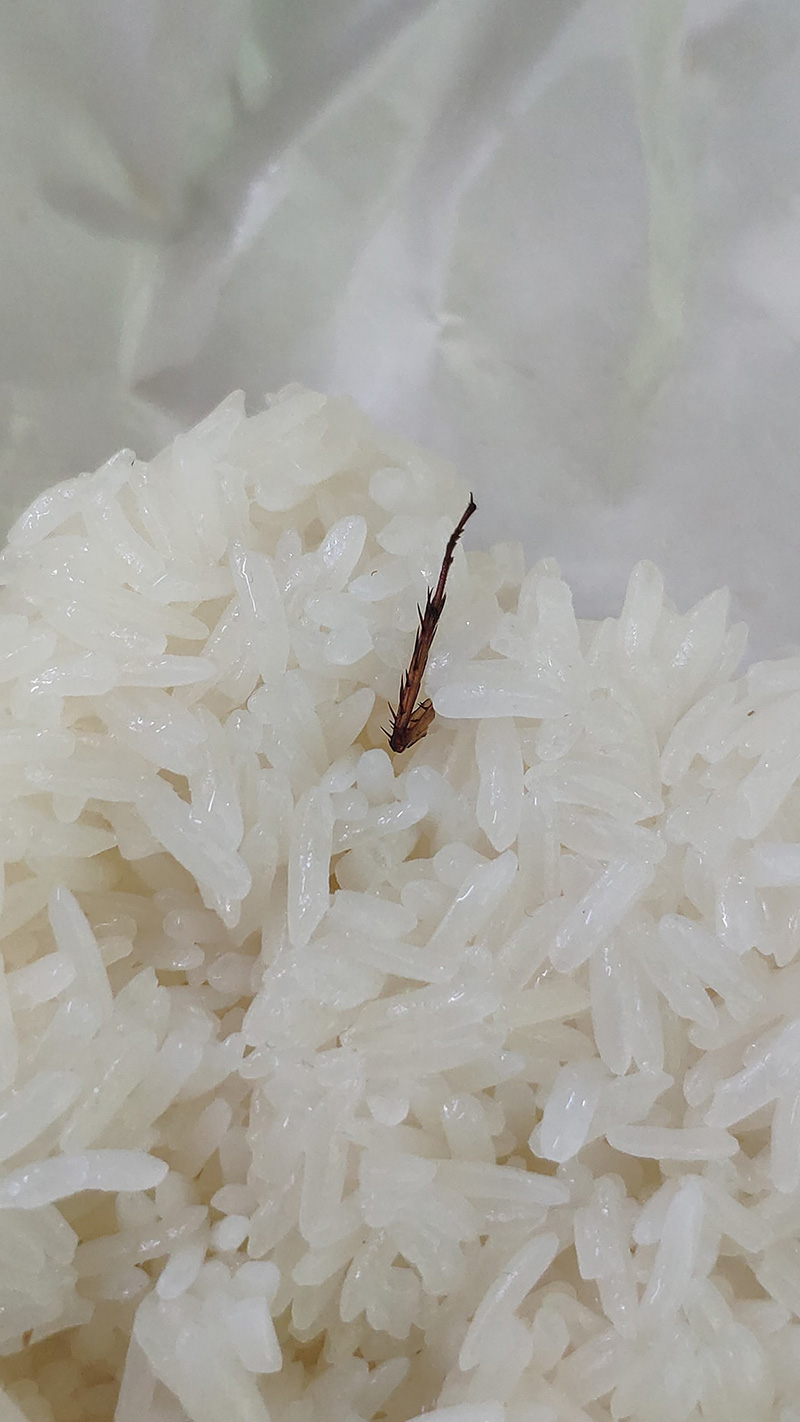 กินข้าวไปครึ่งทางเจอขาปริศนาโผล่ ชาวเน็ตตอบแบบนี้ ฟังแล้วสบายใจเลย 