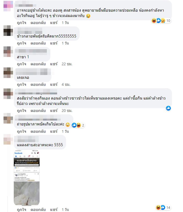 คอมเมนต์