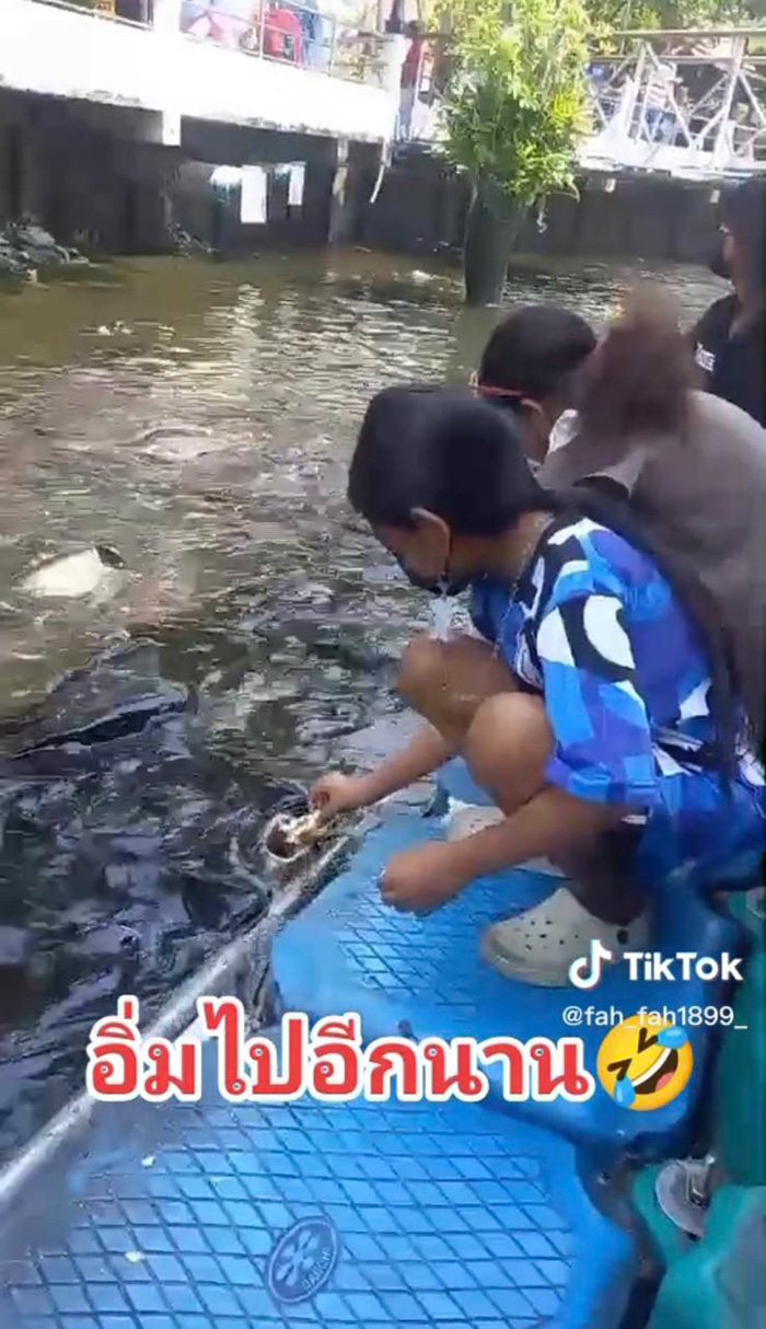 สาวน้อยให้อาหารปลาแบบโอมากาเสะ ป้อนถึงปาก คำเดียวอิ่มทั้งวัน