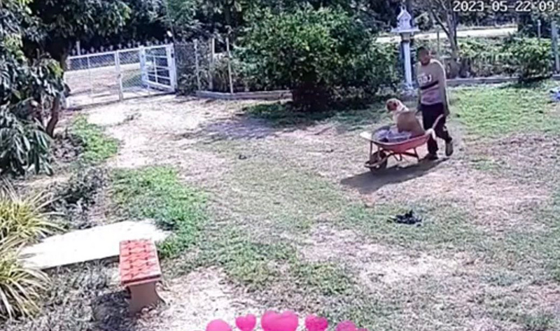 ลูกสาวแอบดูกล้อง กลัวพ่อทำสวนเหนื่อย กลับเจอภาพบาดตา