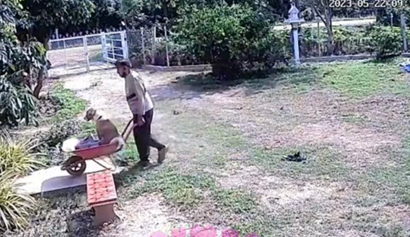 ลูกสาวแอบดูกล้อง กลัวพ่อทำสวนเหนื่อย กลับเจอภาพบาดตา