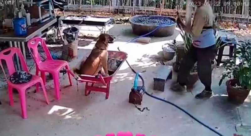 ลูกสาวแอบดูกล้อง กลัวพ่อทำสวนเหนื่อย กลับเจอภาพบาดตา