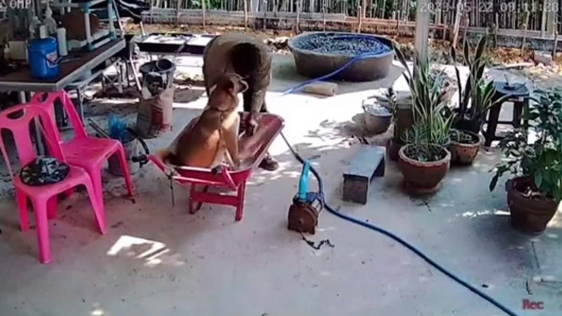 ลูกสาวแอบดูกล้อง กลัวพ่อทำสวนเหนื่อย กลับเจอภาพบาดตา