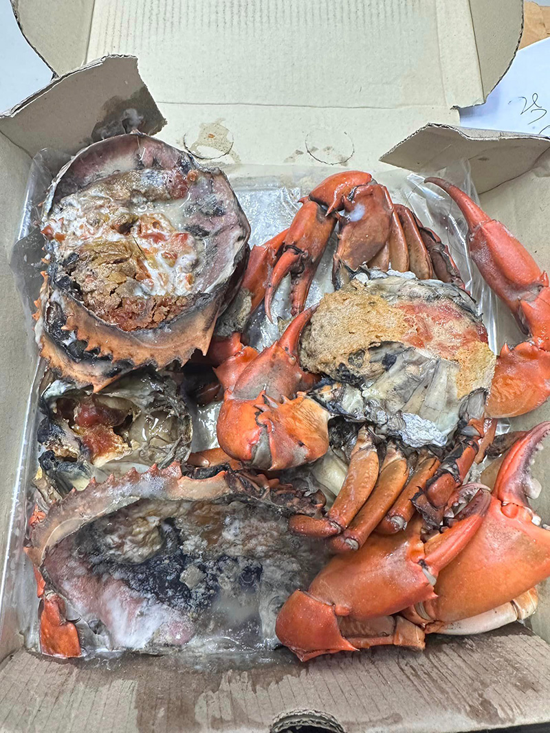 ลูกค้าสุดเฟล สั่งปูไข่ดอง แต่ได้ปูไข่เน่า 