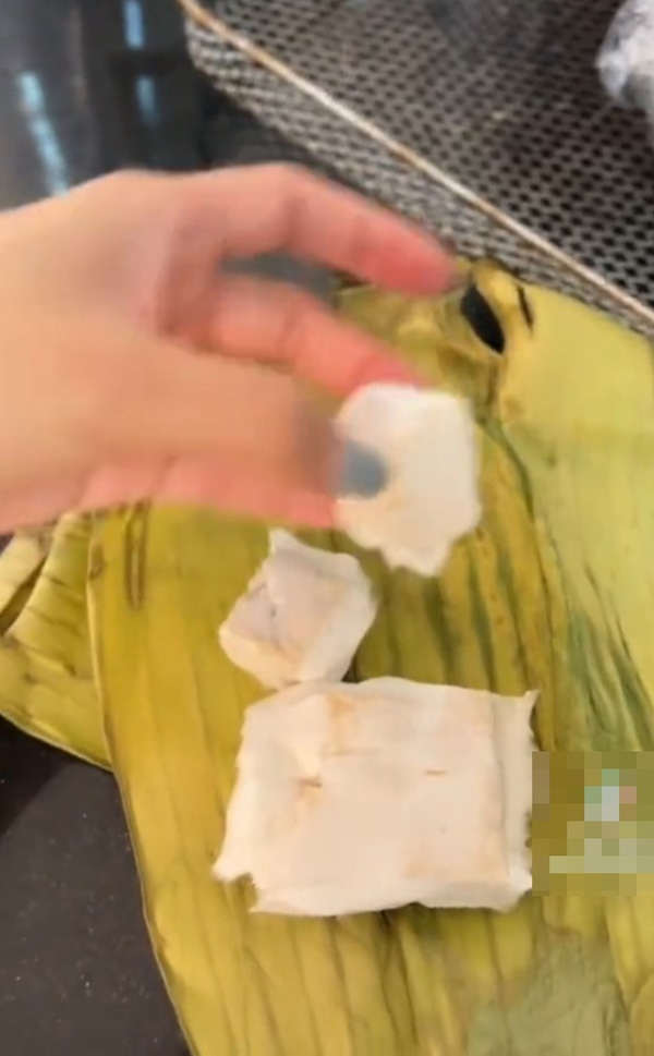 สาวกินเต้าหู้ขน