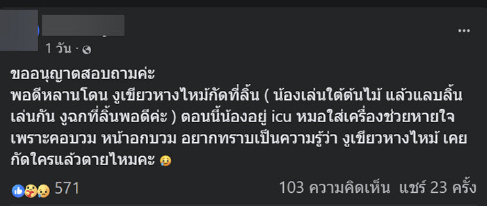 คอมเมนต์
