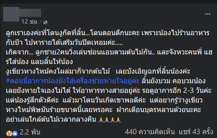 คอมเมนต์