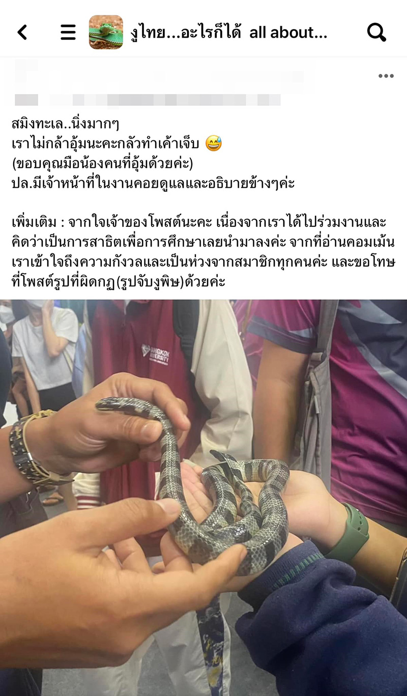 ดราม่างานประมงดัง เอางูสมิงทะเลให้คนร่วมงานจับเล่น พิษแรงกว่างูเห่า ไม่มีเซรุ่ม